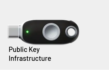 Public Key Infrastructure (PKI)