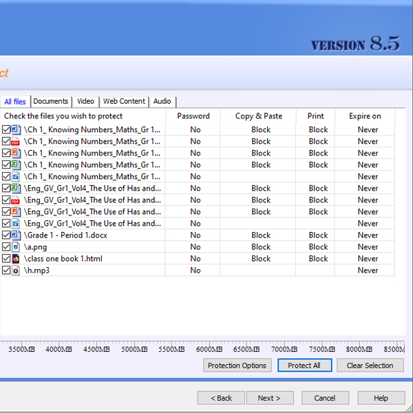 TSFD Protection Toolkit - usb copy protection software