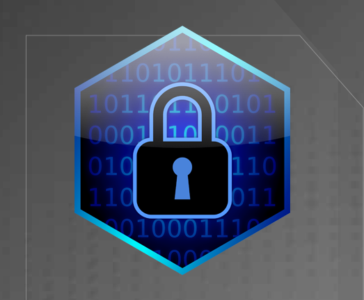 Enterprise Cybersecurity & Physical Access Control.