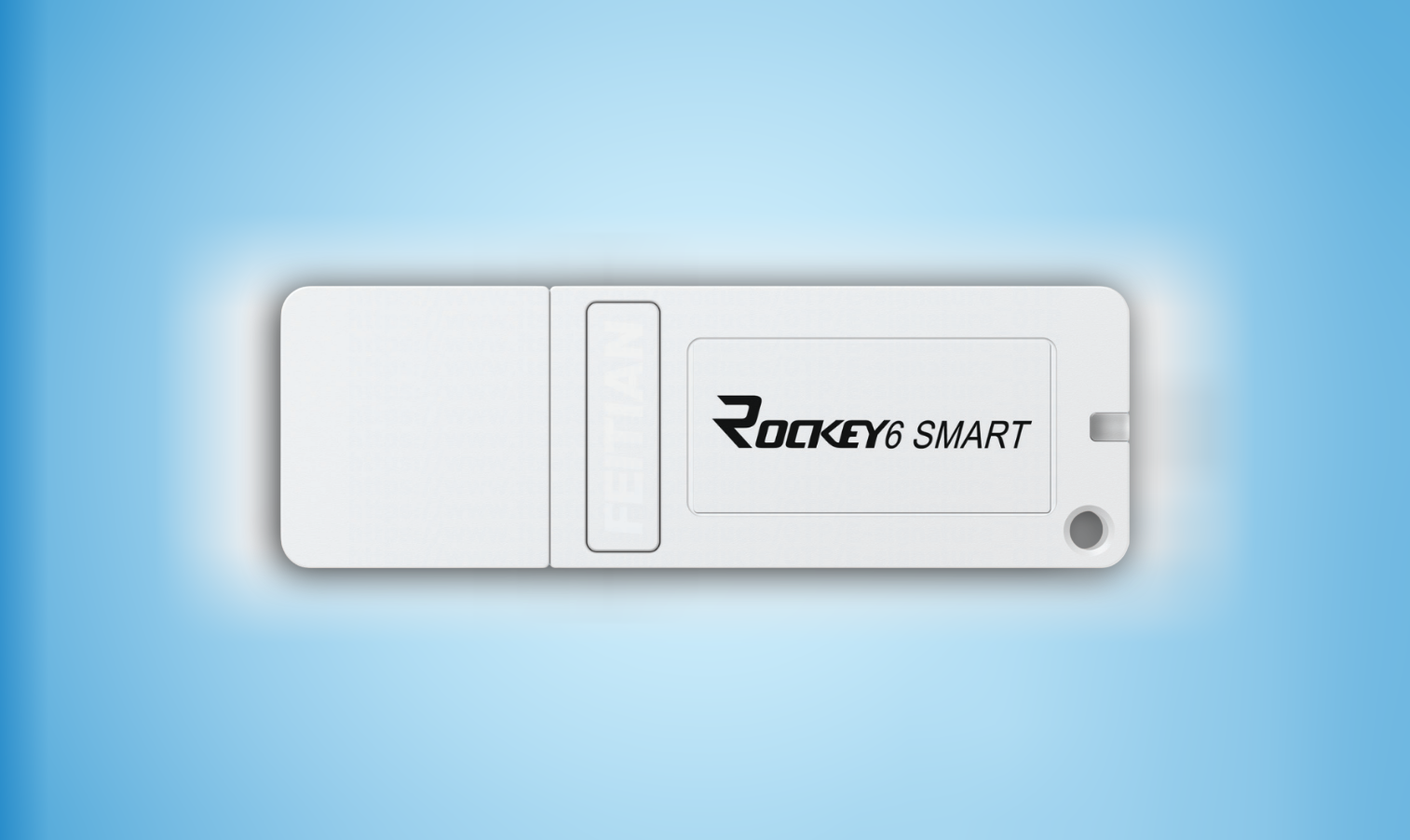Rockey6 Smart Plus Encryption Lock